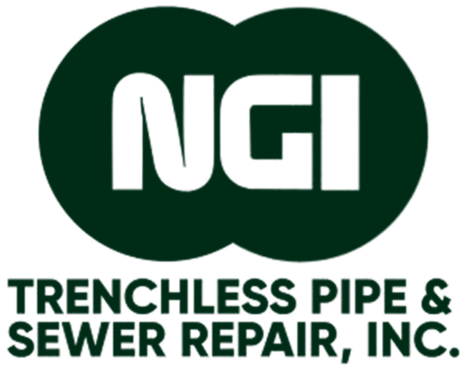NGI logo